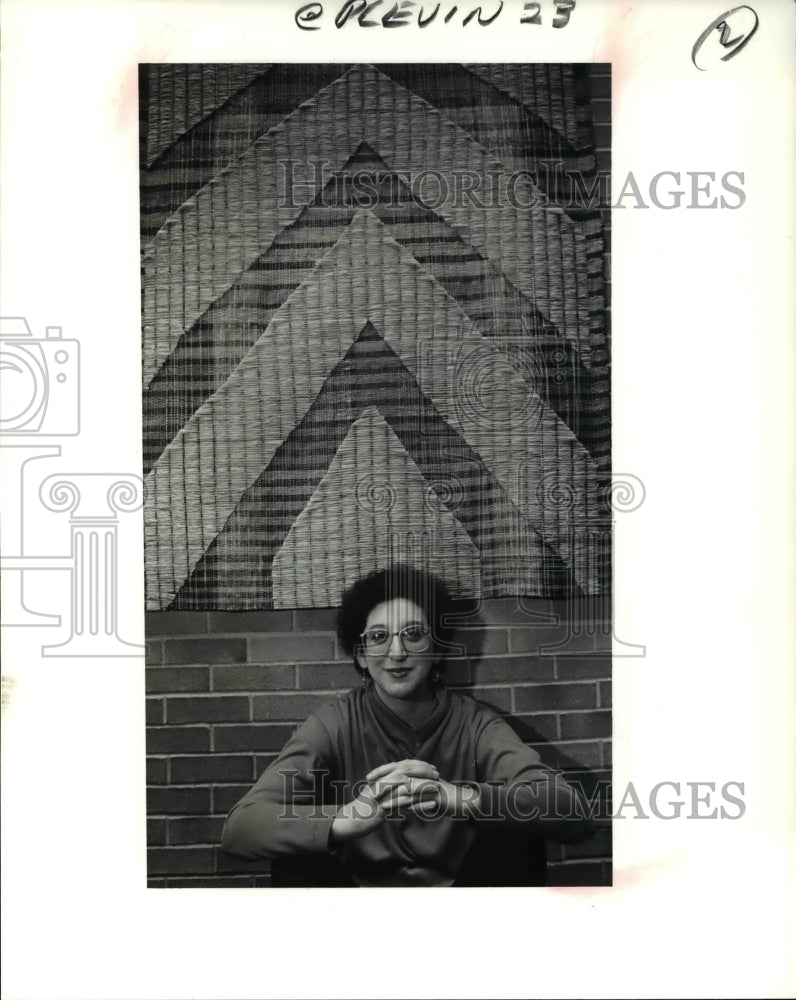 1991 Press Photo Artist Ann Plevin Rosenbluth - cva40075 - Historic Images