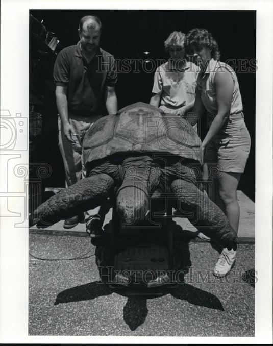 1991 Press Photo Alan Sironen, curator of mammals,Tracy Sorenson & Linda Eierdam - Historic Images