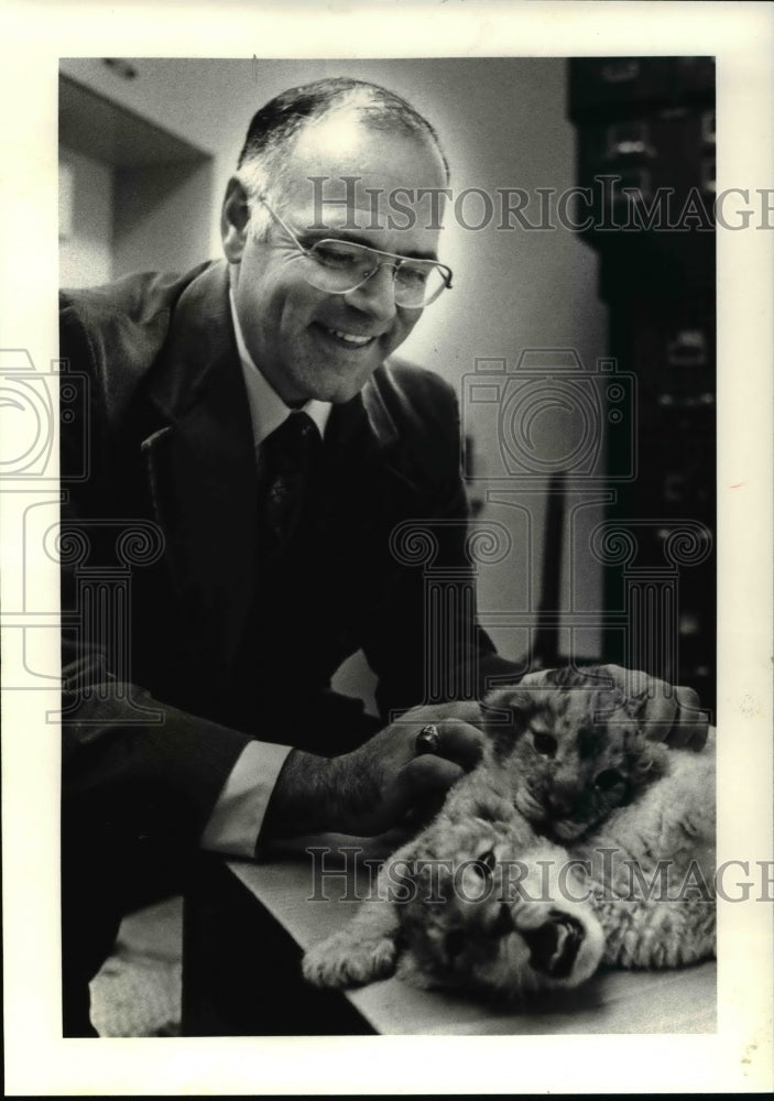 1979 Press Photo Mike Vitantonio plays with 2-week old lion cubs - Historic Images