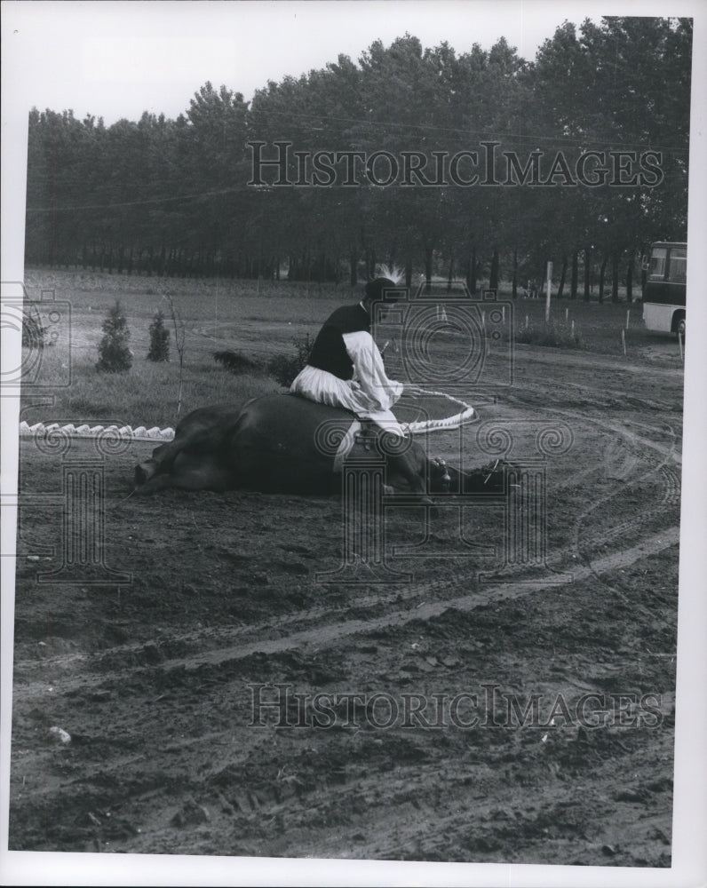 1975 Press Photo Hungary-Historic Images