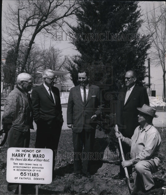 1962 Gardener LeRoy Metzler prepares to plant Harry Ward red cedar - Historic Images