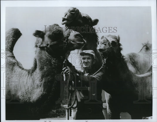 1990 Press Photo Tom Smith preparing camels at the 53rd Annual Sport Show - Historic Images