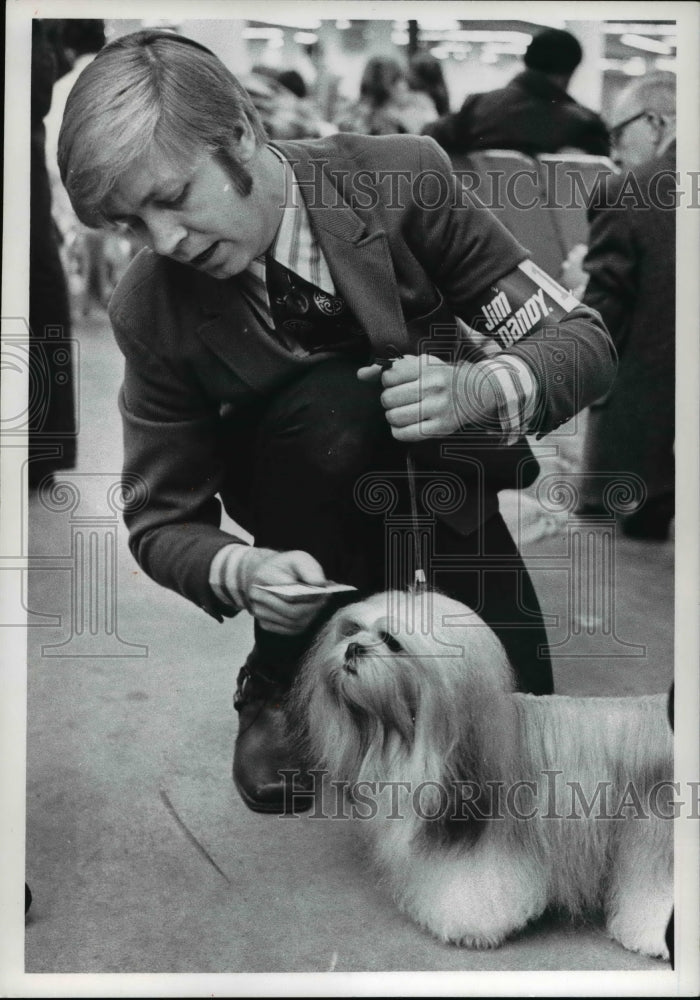 1971, Harold Anderson With Lhasa Apso Getting Dog Ready - Historic Images