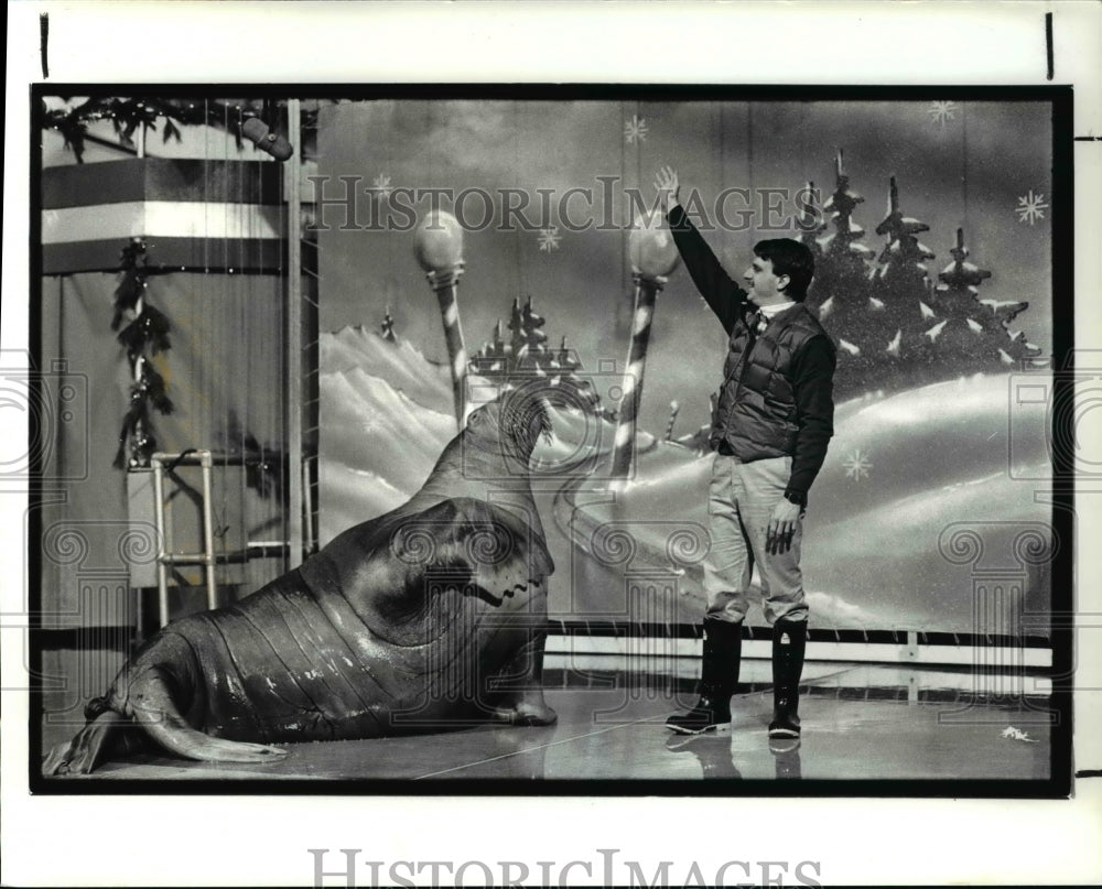 1987 Press Photo Winter Festival at Sea World, starring Wally Walrus - Historic Images