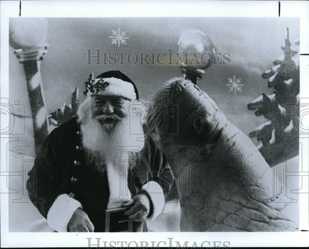 1987 Press Photo Wally Walrus &amp; Santa Claus during a Sea World&#39;s Winter Festival-Historic Images