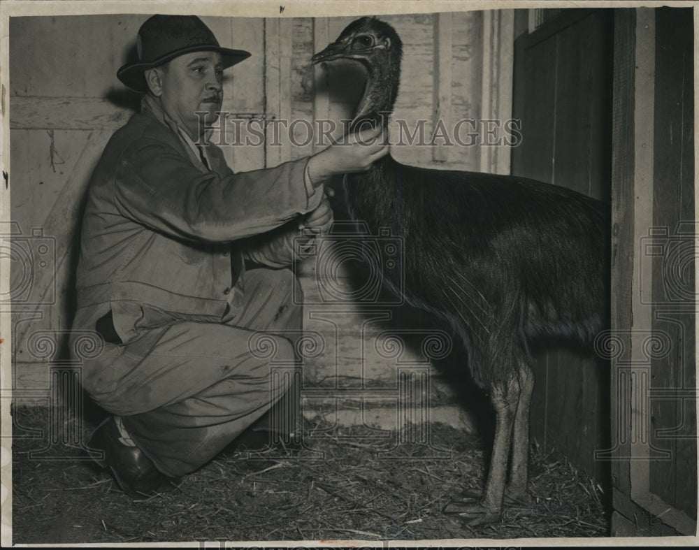 1951 Fletcher Reynold, Zoon Director and Cassowary - Historic Images