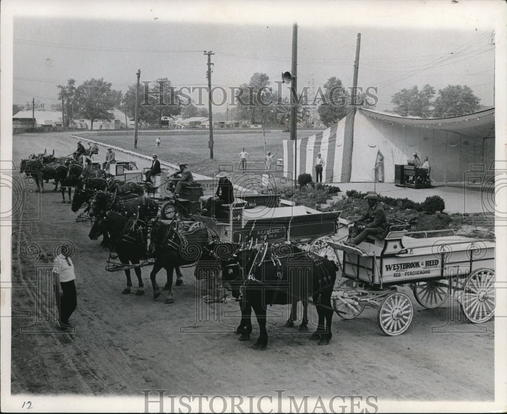 1968 Press Photo The horses at the Cuyahoga Company Fair - Historic Images