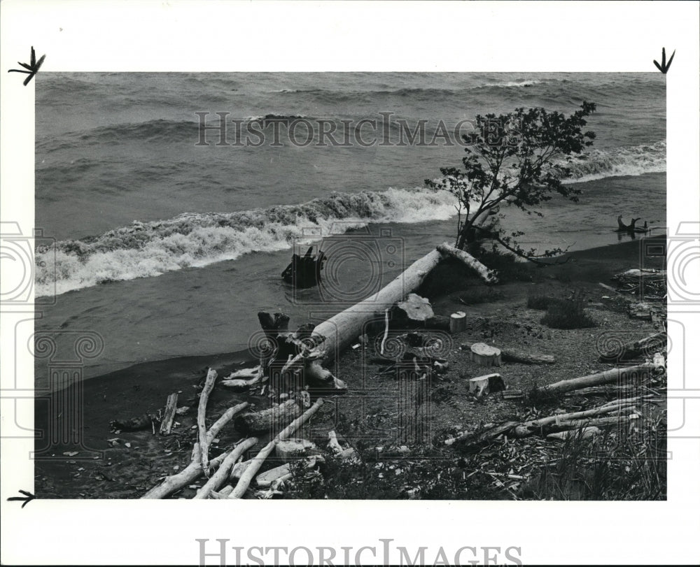 1990 Press Photo The erosion along the shoreline of beachview - Historic Images