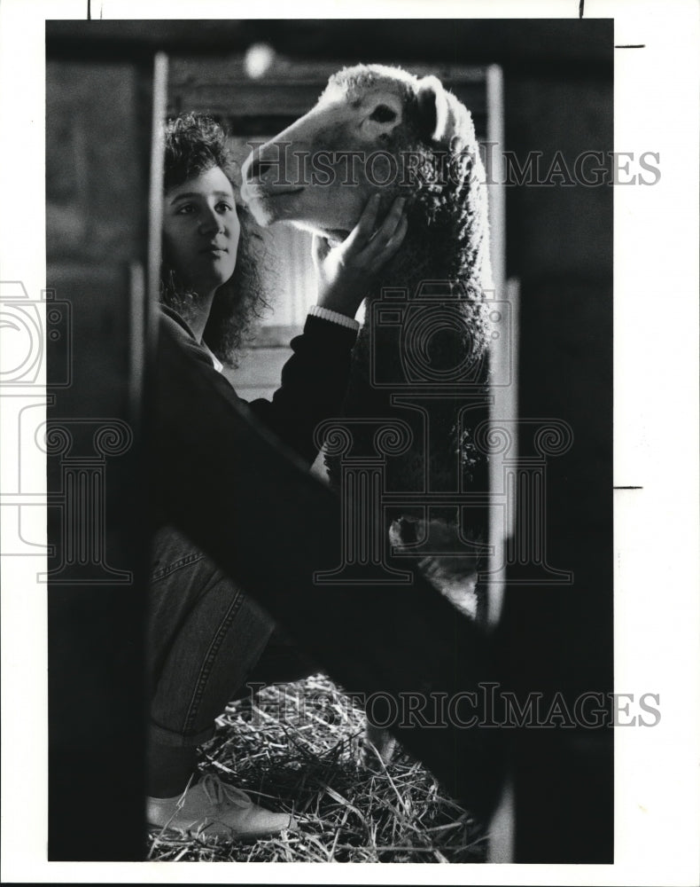 1990 Press Photo Lisa Warner with one of her sheep, Angelica - Historic Images
