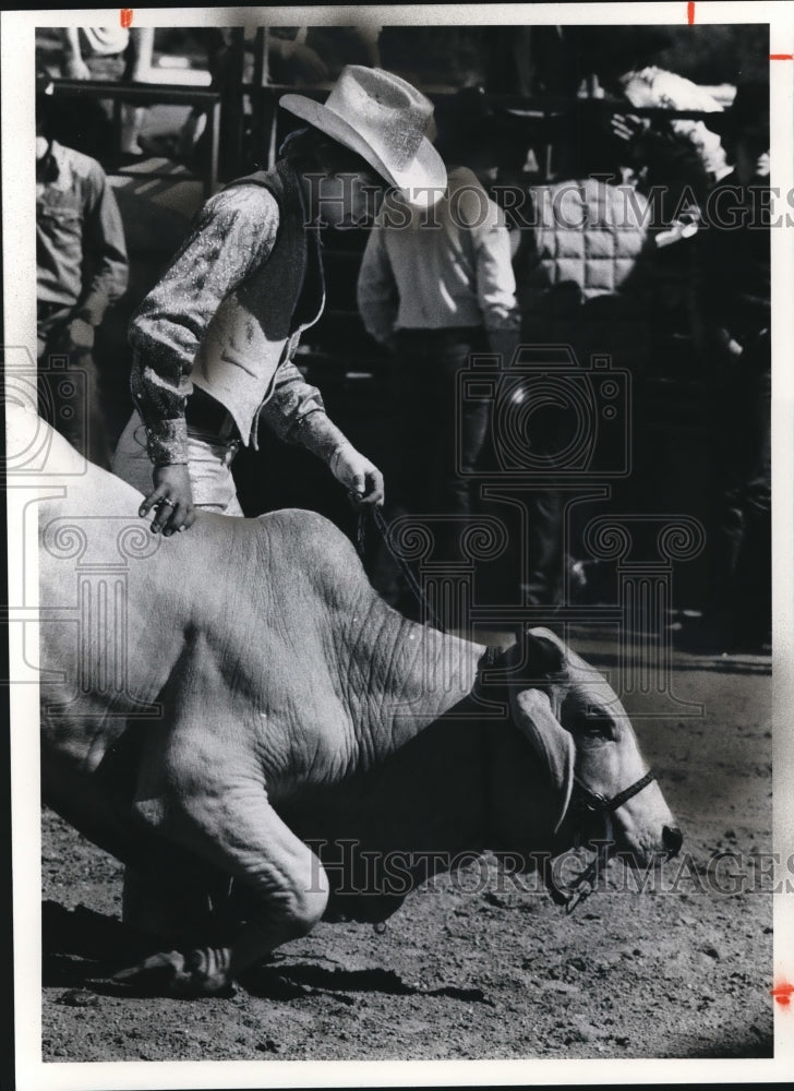 1976 Press Photo Geauga County Fair - Historic Images