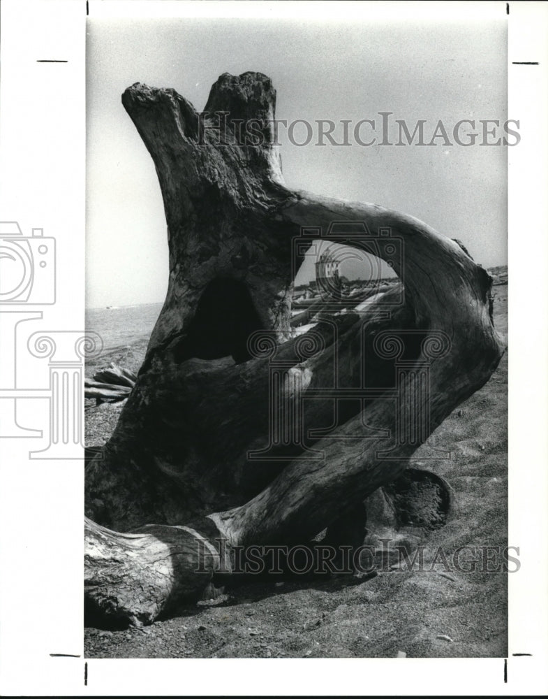 1989 Press Photo The Fairport Harbor light house framed with the driftwood - Historic Images