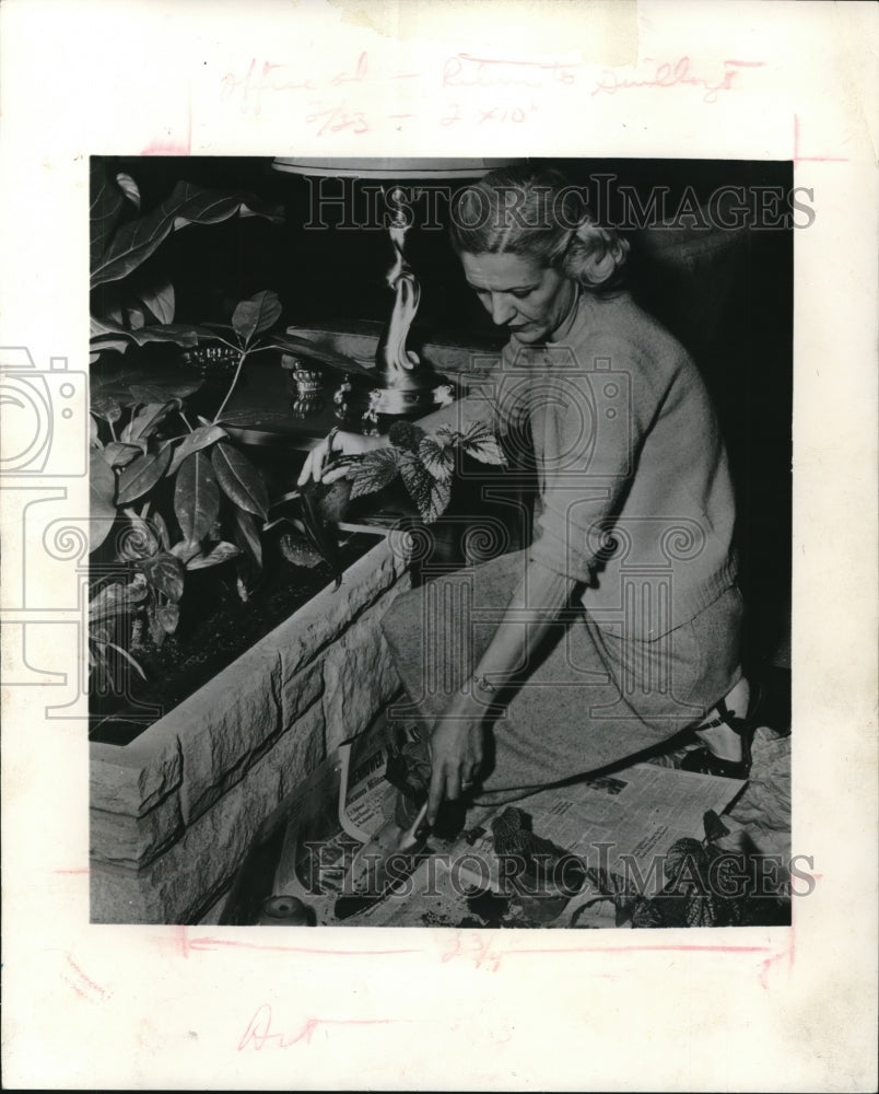 1992 Press Photo Katherine B. Walker, indoor gardener-Historic Images