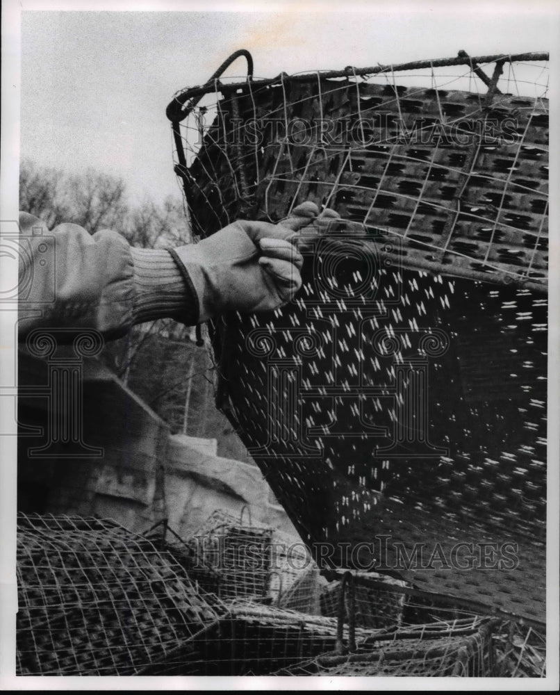 1969 Press Photo The wire mesh at the Brookside Zoo- Historic Images