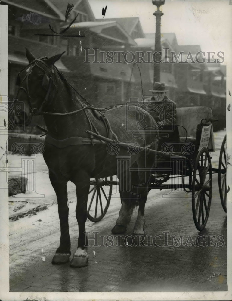 1942 Press Photo James R Hickman and lady horse Belle, both back in harness-Historic Images