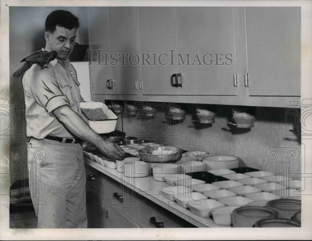 1961, CLeveland Zoo Bird Building - Historic Images