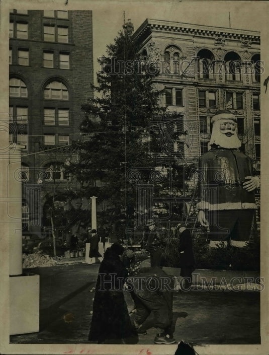 1961 Press Photo Christmas trees- Historic Images
