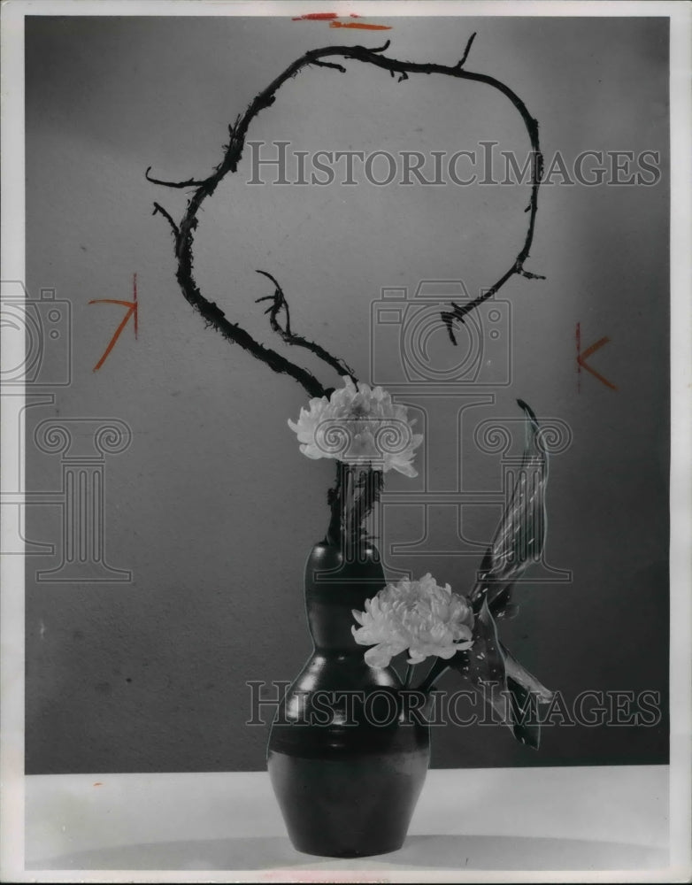 1964 The flower arrangement by Mrs. Wm. Vasil - Historic Images