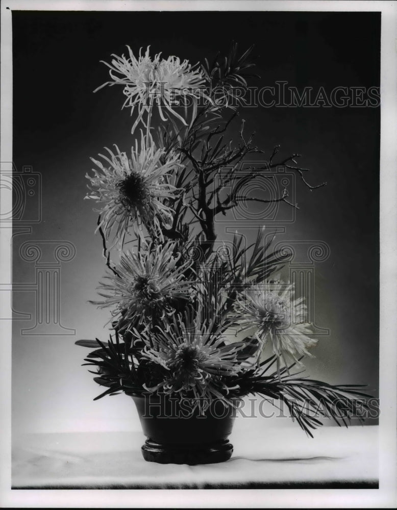 1961, A thanksgiving arrangement of flowers by Ruth Greve - Historic Images