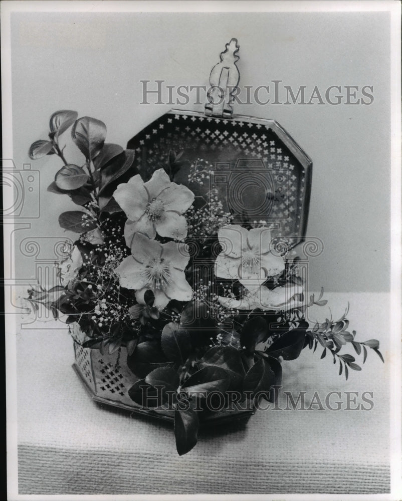 1970 Press Photo The Christmas rose arrangement by Mrs. Mary Ann Breitenbach - Historic Images