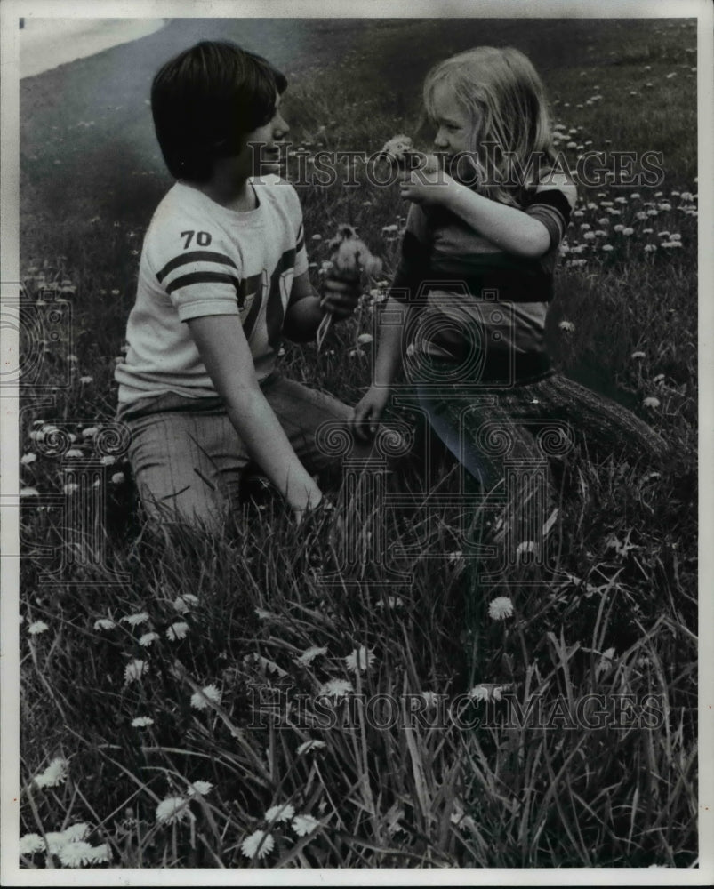 1978 Press Photo Frank and Kathleen Castrucci among the dandelion blossoms - Historic Images