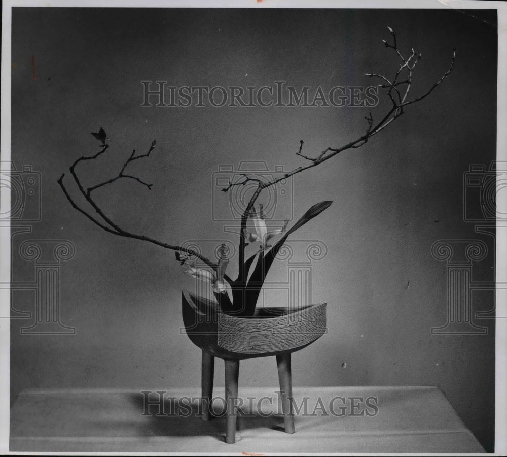 1965 Press Photo The natural beauty of the plant material and its container - Historic Images