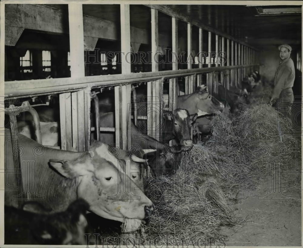 1946 Press Photo Farms and farming-Historic Images