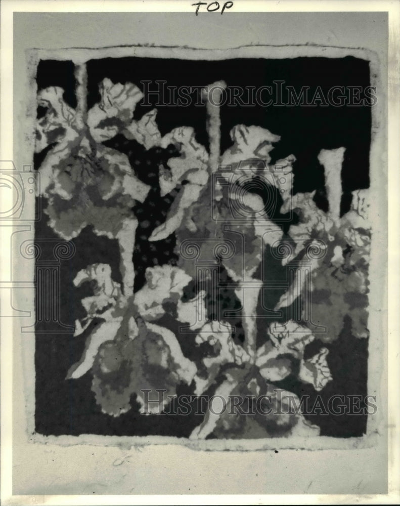 1987 Press Photo Jungle Camouflage Series Night Orchids by Robert Jursinski-Historic Images