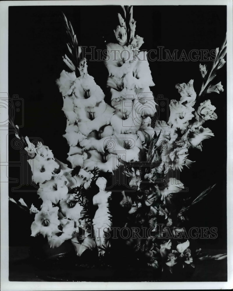 1971 Press Photo 1971 All America Gladiolus Selections winners - Historic Images