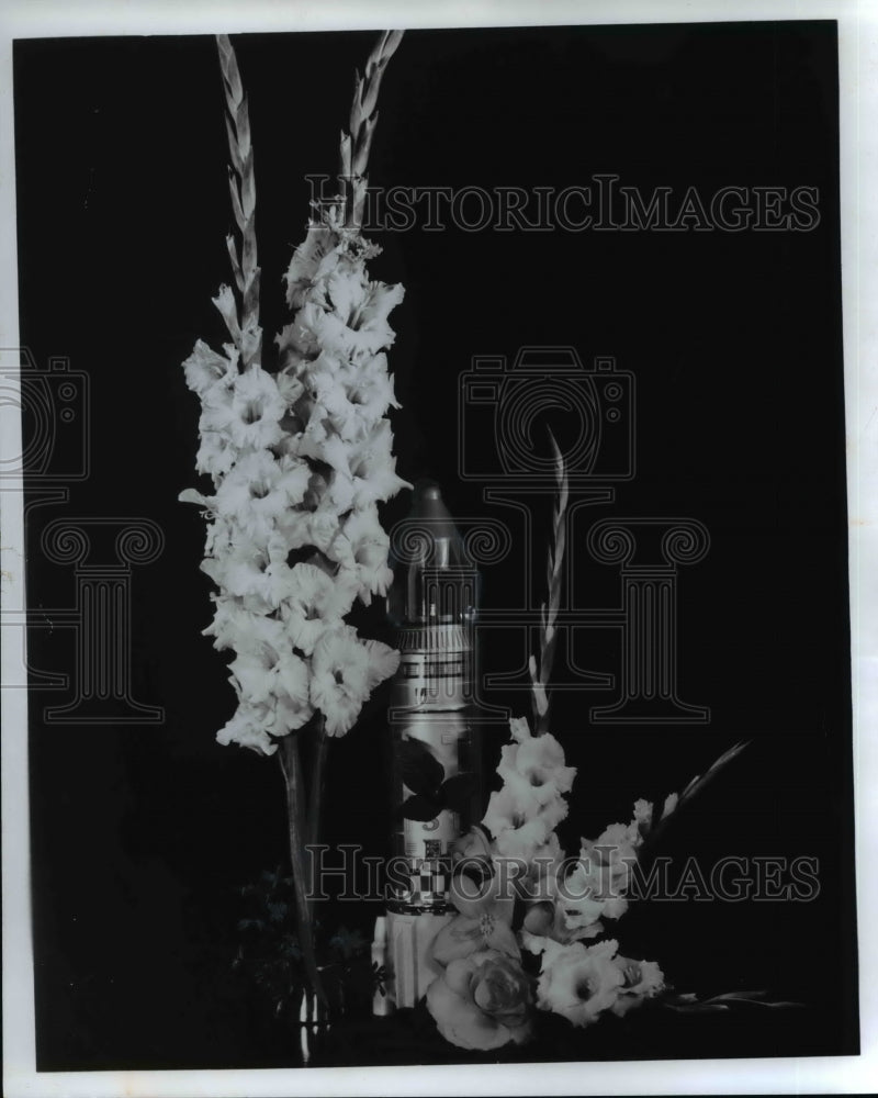 1970 Press Photo Apollo & Snowdrop -1970 All America Gladiolus Selection - Historic Images