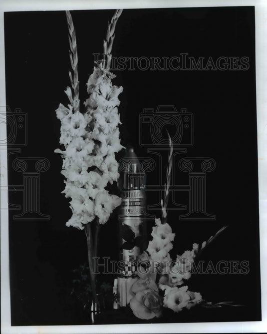 1970 Press Photo Apollo & Snowdrop -1970 All America Gladiolus Selection - Historic Images