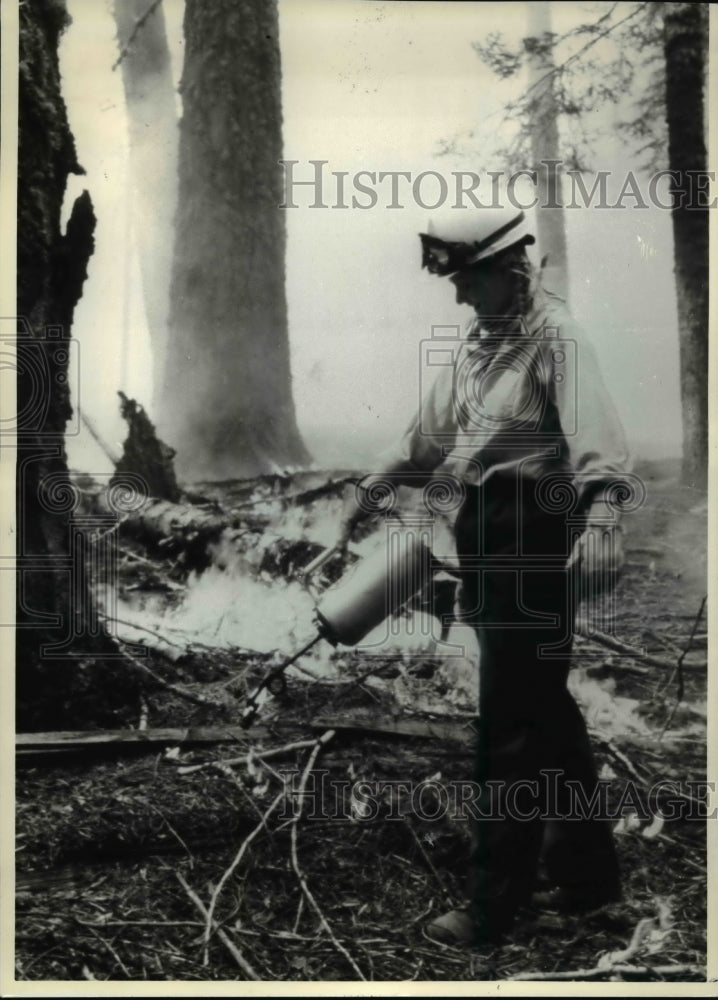 1991 Press Photo Stephanie Gebauer of the Nature Conservancy - Historic Images