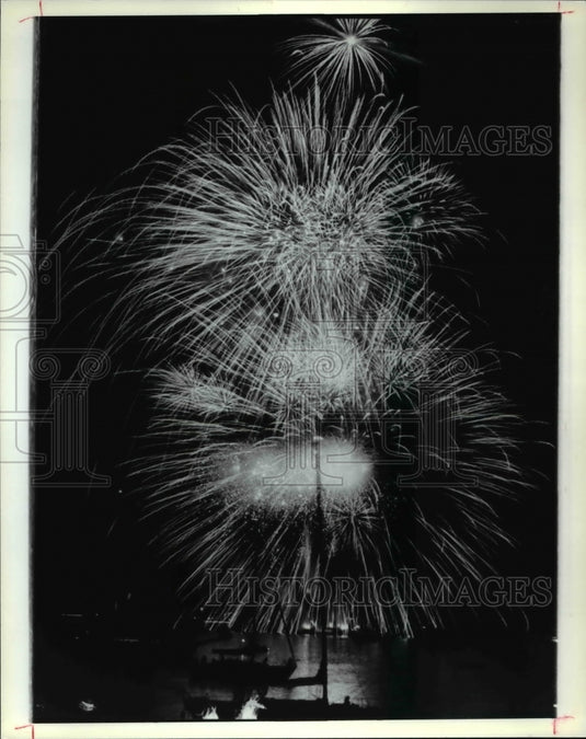 1992 Press Photo The glittering fireworks over Edgewater Park-Historic Images