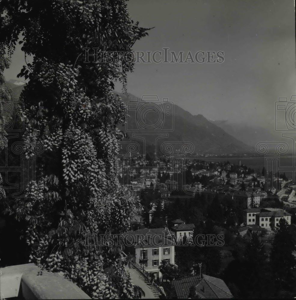 The Wisterias bloom in exotic splendor at Locarno - Historic Images