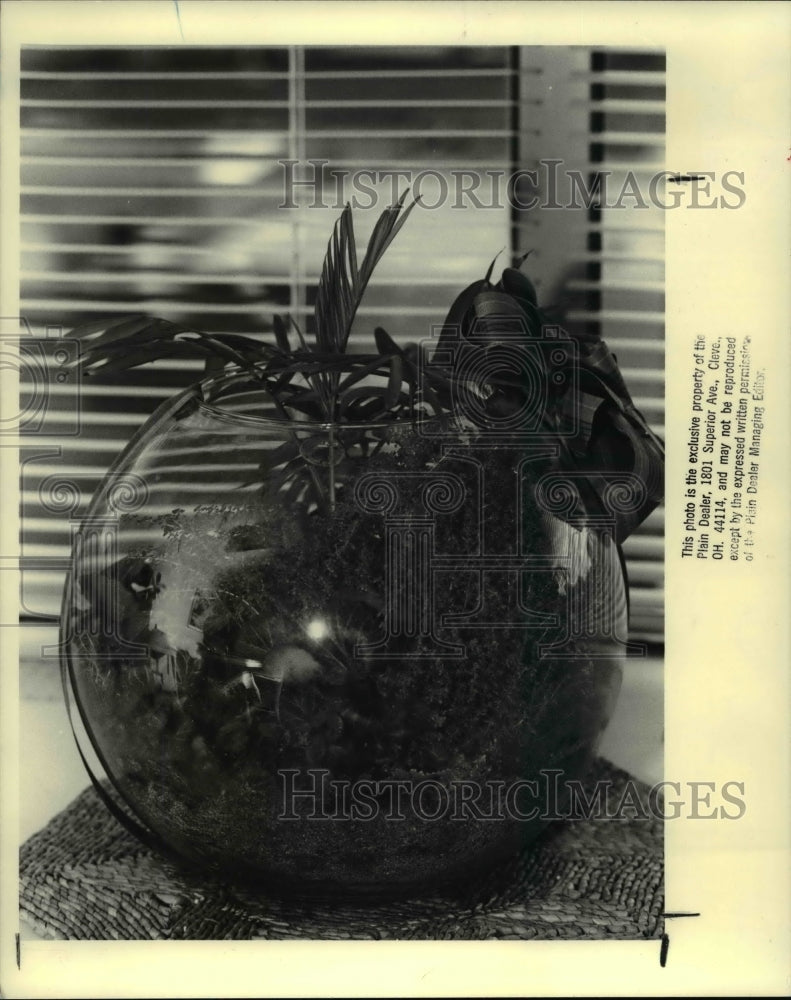 1988 Press Photo Terrarium - cva61486-Historic Images