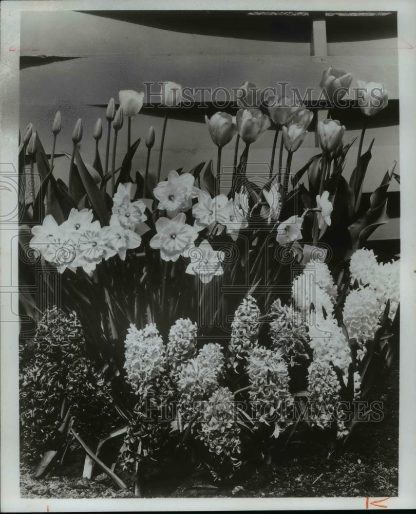 1977 Press Photo Flowers - Historic Images