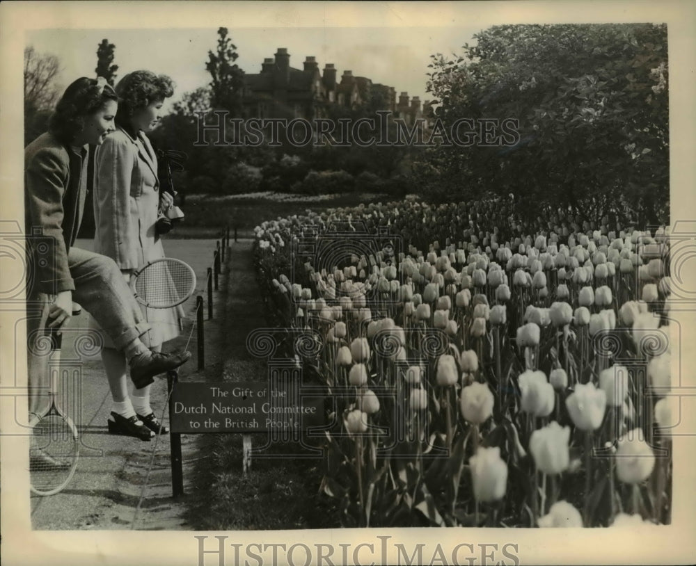 1946 Press Photo Britain&#39;s liberation of Holland is a gift of 200,000 bulbs - Historic Images