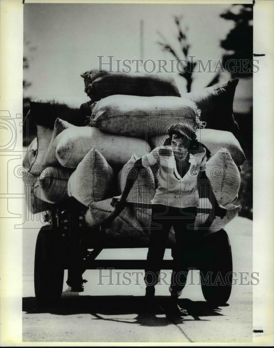1967 Press Photo The sacks of rice - Historic Images