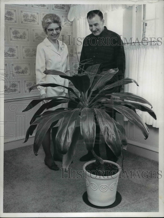 1972, Mr & Mrs Fred Pourie and Ti plant log plant - Historic Images