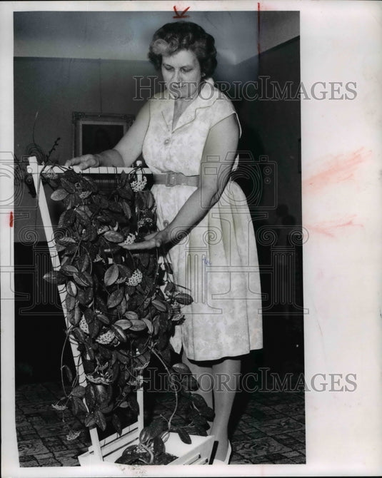 1969 Miss Peter of Warrensville Hts & wax plant - Historic Images