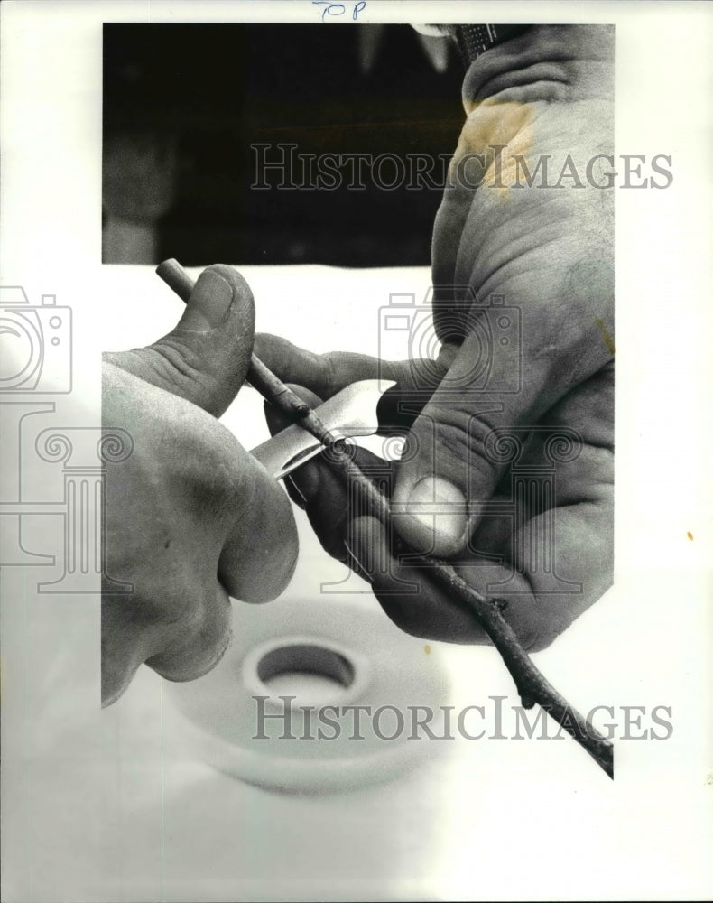 1987 Press Photo Plant Propagation-Historic Images