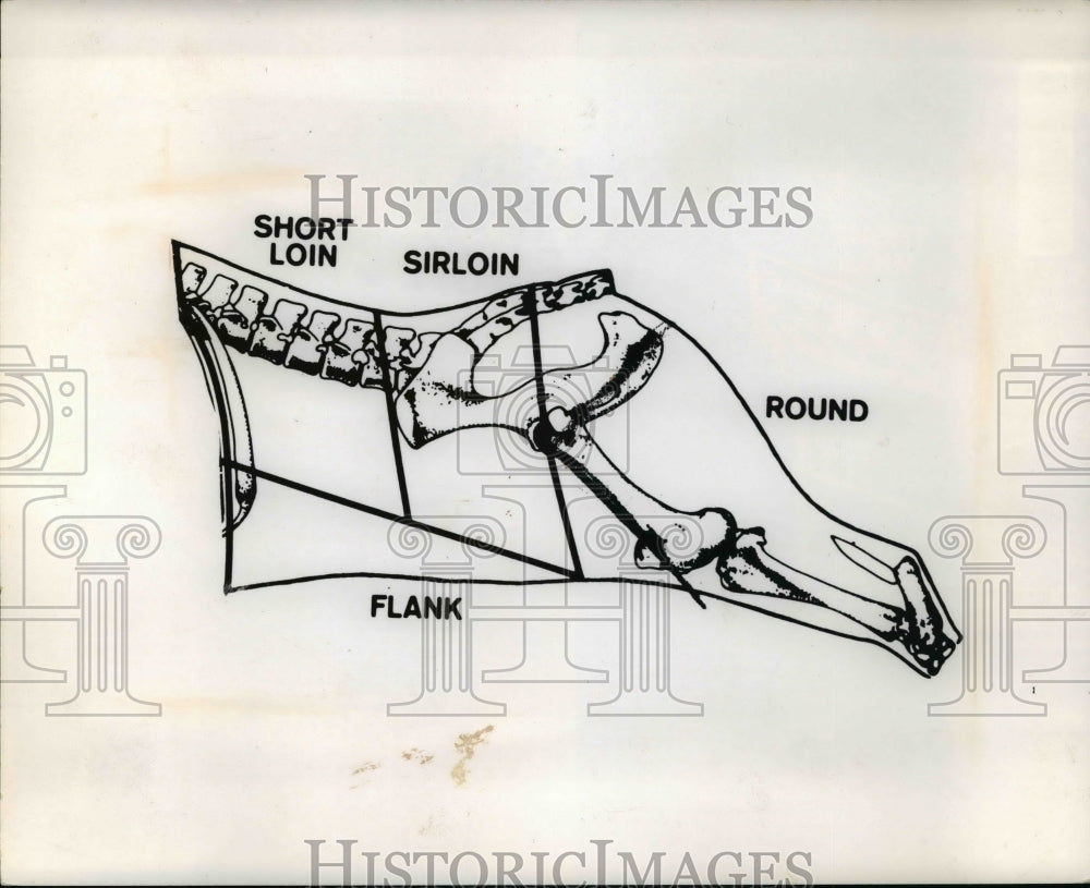 1971 Press Photo Diagram of Cow&#39;s Beef meat - Historic Images