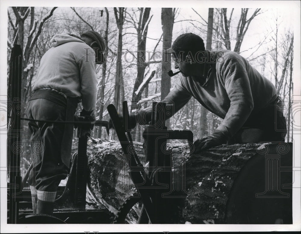 1980 Press Photo Ed Velk and Alvin Williams Use Steel Spurs in Lumbering - Historic Images