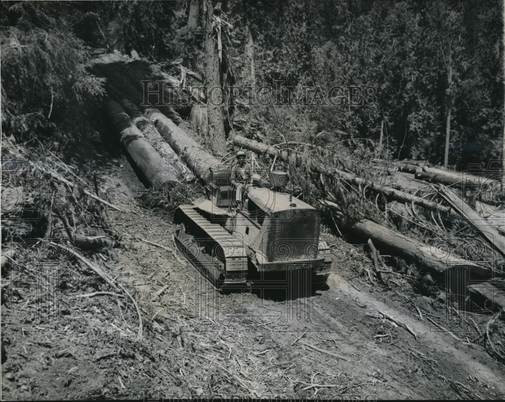 1945, Transporting logs, an alternative to floating them down a river - Historic Images