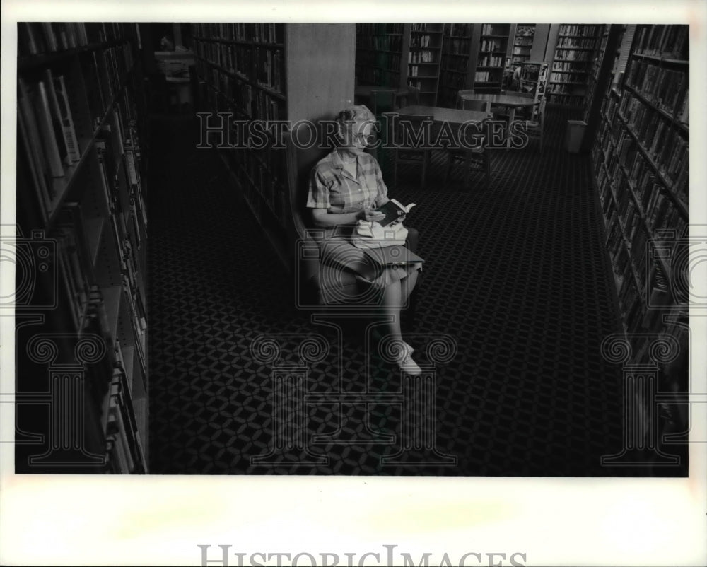 1991 Press Photo Anne Vermilion inside the Hudson Library - cva65506 - Historic Images