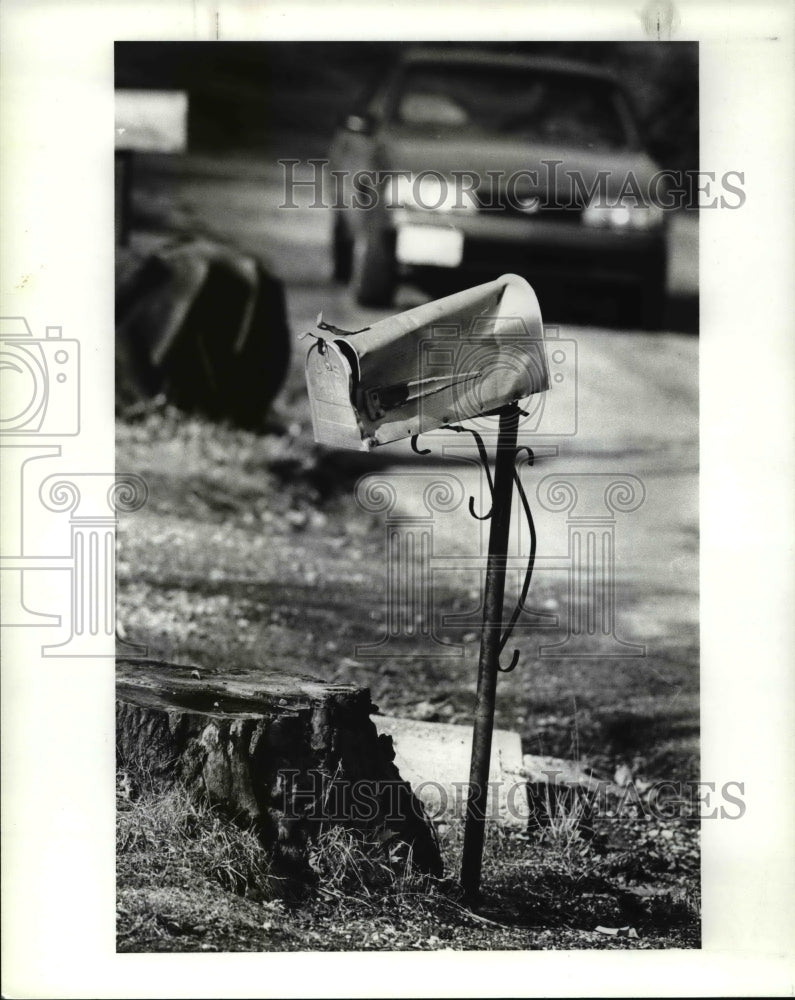 1989 Press Photo Mailboxes and trees gave up the fight along Orchard Park Drive - Historic Images