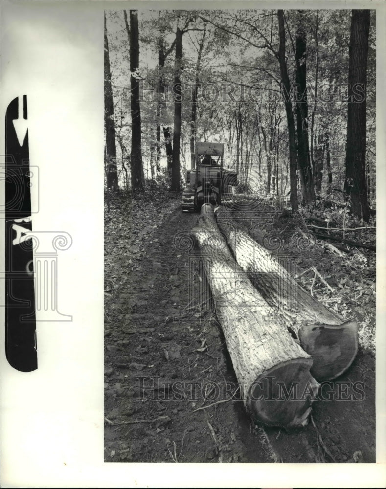 1980 Press Photo Mike Rietz hauls oak logs up mountain in Zaleski State Forest - Historic Images