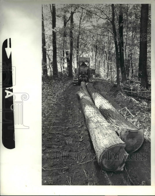 1980 Press Photo Mike Rietz hauls oak logs up mountain in Zaleski State Forest - Historic Images