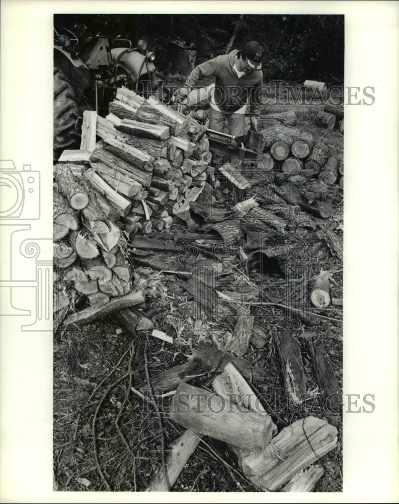 1991 Press Photo Vic Oden splits wood in a field near his home on Ravenna Road - Historic Images