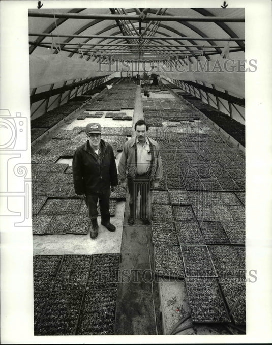 1986 Press Photo Ed Losely & Charles Fink, in greenhouse Number 4 - cva66165 - Historic Images