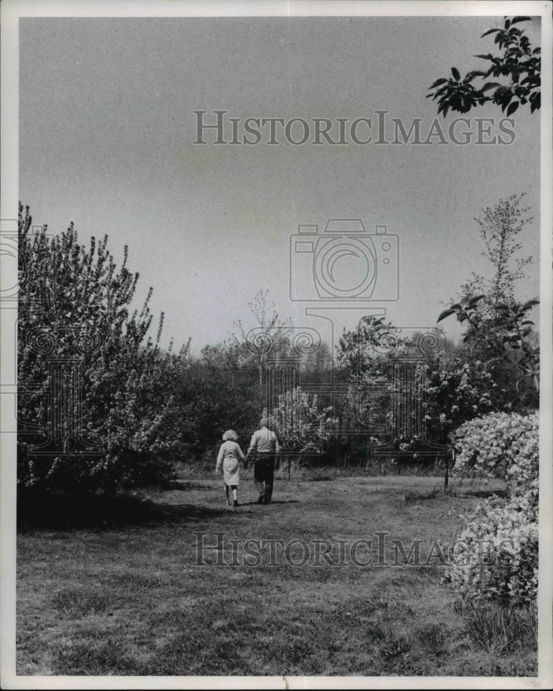 1971 Press Photo An old couple takes a walk at Holden Arboretum - cva66178 - Historic Images